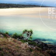 boambee-pandanus_1